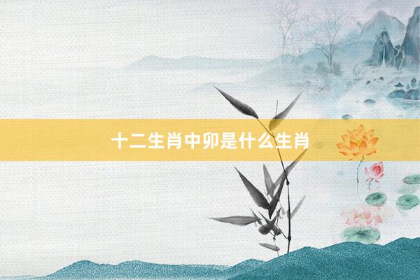 十二生肖中卯是什么生肖
