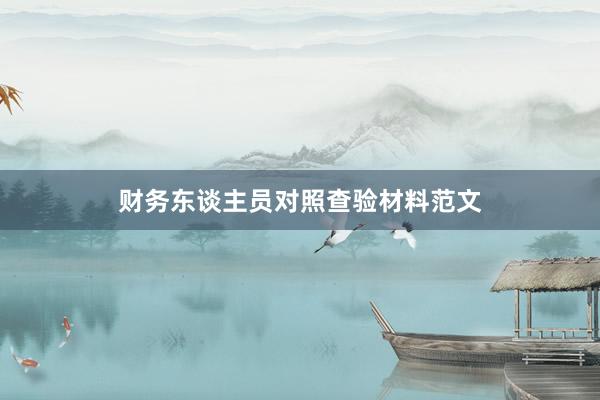 财务东谈主员对照查验材料范文